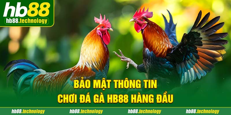 Bảo mật thông tin chơi đá gà HB88 hàng đầu